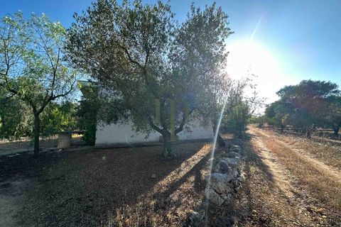 Ruïna a Ostuni, Brindisi, Ostuni - € 43.000 | Ref: Lamia Vite - foto 25